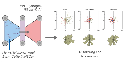 chemotaxis_fig_04.jpg